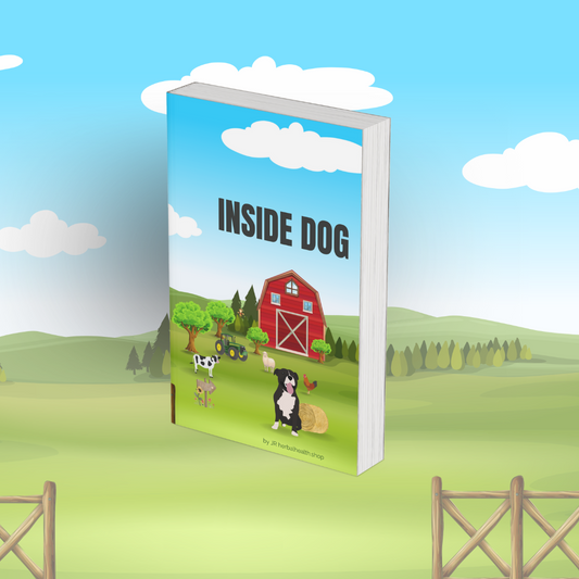 Inside Dog- Childrens Story and Activity Book (Softcover)